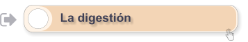 La digestión