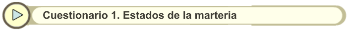 Cuestionario 1. Estados de la marteria