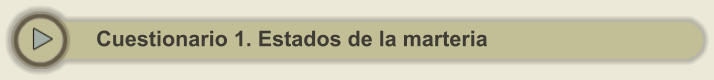 Cuestionario 1. Estados de la marteria